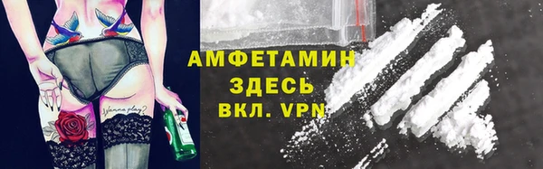 стаф Дмитровск