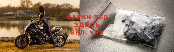 ГАЛЛЮЦИНОГЕННЫЕ ГРИБЫ Гусев