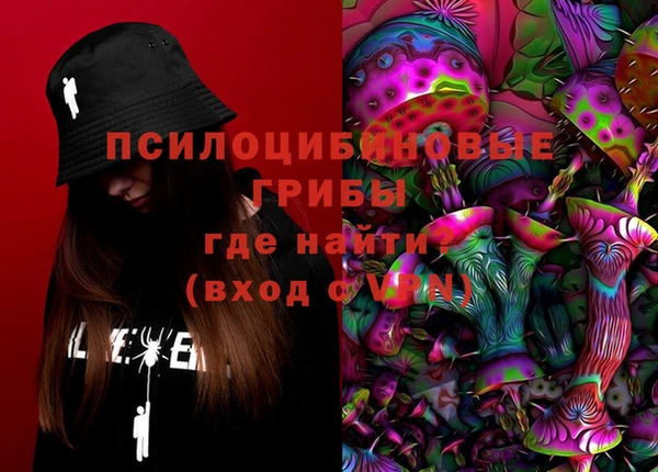 apvp Гусь-Хрустальный