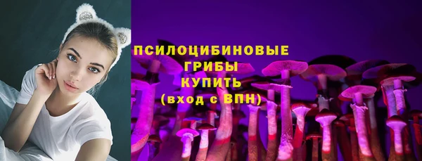 a pvp Дмитриев