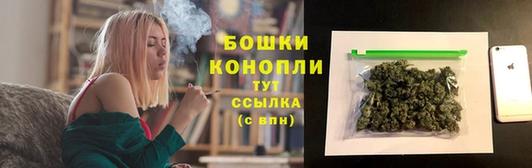 индика Гусиноозёрск