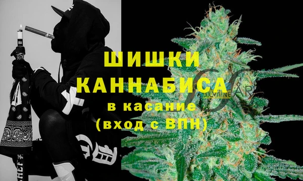ГАЛЛЮЦИНОГЕННЫЕ ГРИБЫ Гусев