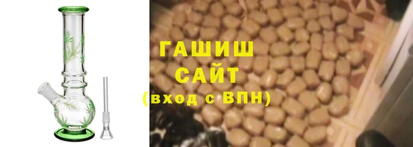 ГАЛЛЮЦИНОГЕННЫЕ ГРИБЫ Гусев