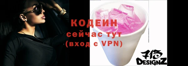 ГАЛЛЮЦИНОГЕННЫЕ ГРИБЫ Гусев