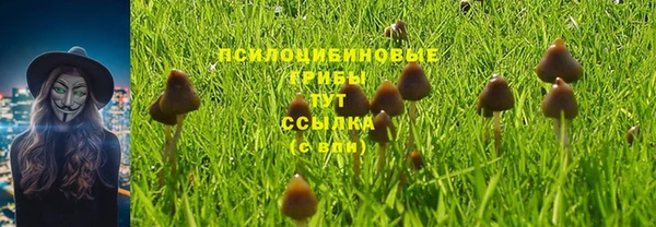 индика Гусиноозёрск