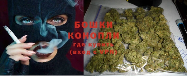 стаф Дмитровск