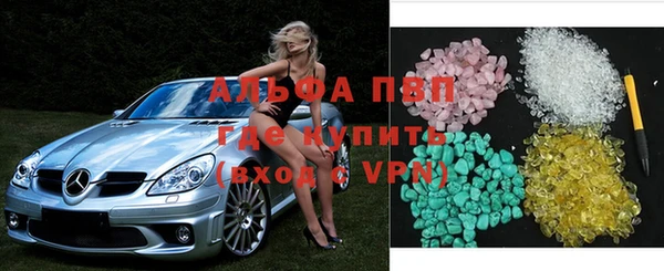 стаф Дмитровск