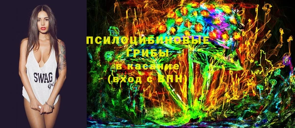 apvp Гусь-Хрустальный
