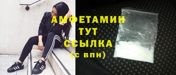 индика Гусиноозёрск