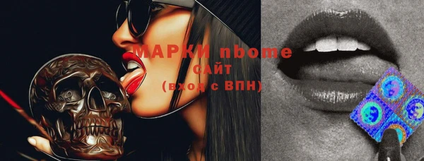 apvp Гусь-Хрустальный