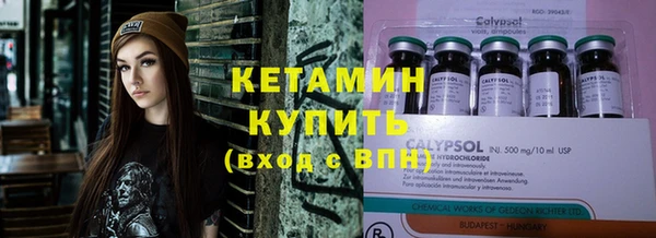 индика Гусиноозёрск