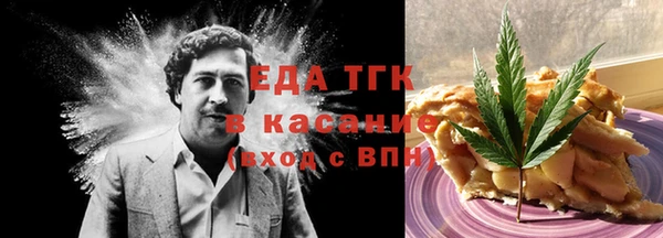 ГАЛЛЮЦИНОГЕННЫЕ ГРИБЫ Гусев