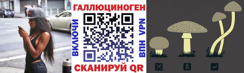 Галлюциногенные грибы прущие грибы Саранск